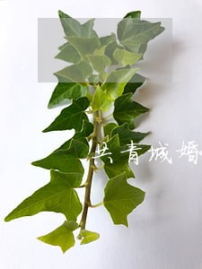 共青城婚姻律师 共青城婚姻律师