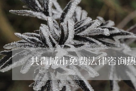 共青城市免费法律咨询热线