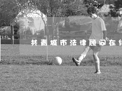 共青城市法律顾问在线律师 共青城市法律顾问在线律师
