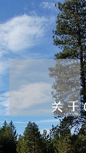 关于0申报逾期罚款 关于0申报逾期罚款