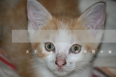关于2020年信用卡逾期新闻 关于2020年信用卡逾期新闻