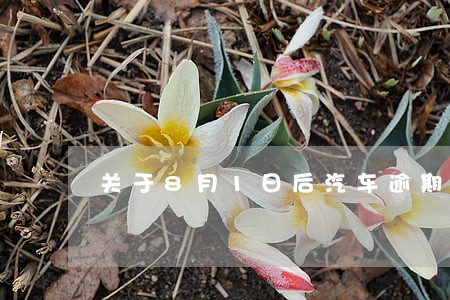 关于8月1日后汽车逾期罚款吗 关于8月1日后汽车逾期罚款吗