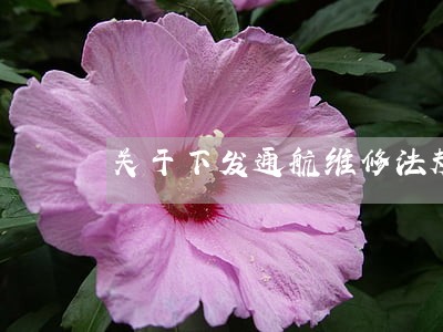 关于下发通航维修法规 关于下发通航维修法规