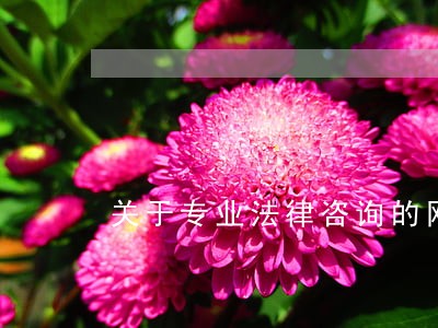 关于专业法律咨询的网站有哪些 关于专业法律咨询的网站有哪些