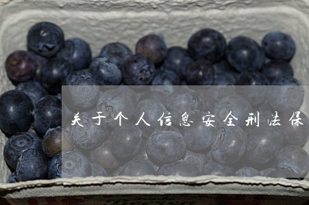 关于个人信息安全刑法保护的探讨 关于个人信息安全刑法保护的探讨