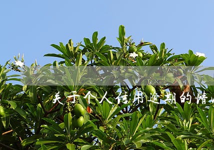 关于个人信用逾期的情况说明