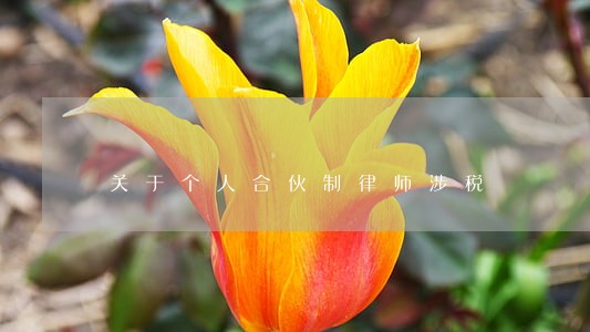关于个人合伙制律师涉税 关于个人合伙制律师涉税