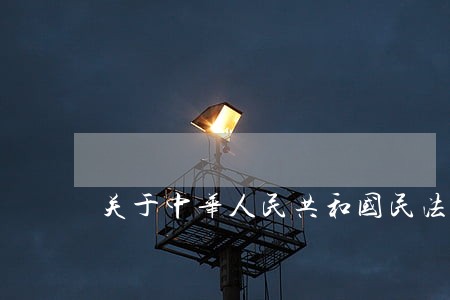 关于中华人民共和国民法典下 关于中华人民共和国民法典下