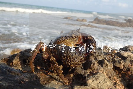关于中学生的法律条文 关于中学生的法律条文