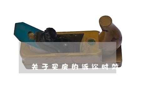 关于买房的诉讼时效问题 关于买房的诉讼时效问题