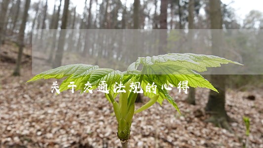 关于交通法规的心得 关于交通法规的心得