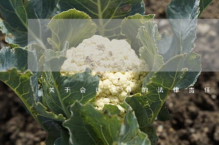 关于会计工作的法律责任探讨 关于会计工作的法律责任探讨