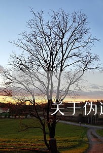 关于伪造证据骗取法院判决 关于伪造证据骗取法院判决
