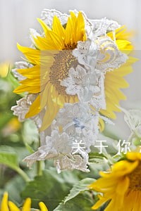 关于你恶意拖欠贷款逾期案件 关于你恶意拖欠贷款逾期案件