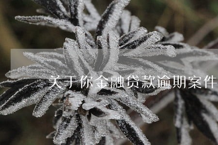 关于你金融贷款逾期案件 关于你金融贷款逾期案件