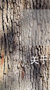关于保健品批文合作协议法律分析 关于保健品批文合作协议法律分析