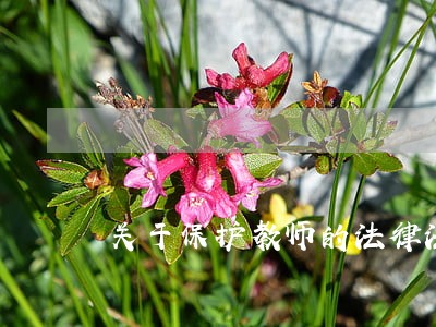 关于保护教师的法律法规 关于保护教师的法律法规