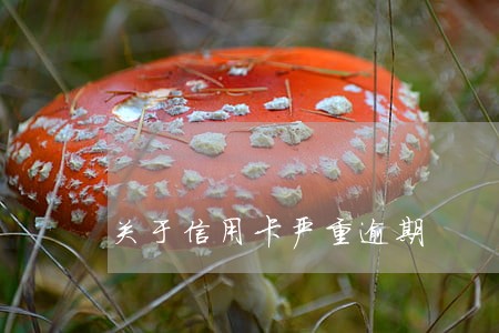 关于信用卡严重逾期 关于信用卡严重逾期