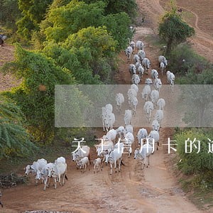 关于信用卡的逾期问题
