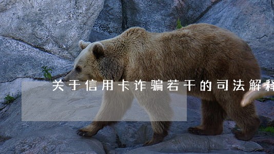 关于信用卡诈骗若干的司法解释 关于信用卡诈骗若干的司法解释