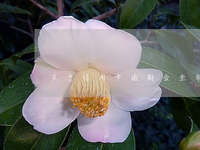 关于信用卡逾期会坐牢吗 关于信用卡逾期会坐牢吗