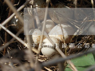 关于信用卡逾期会影响什么