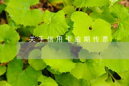 关于信用卡逾期传票 关于信用卡逾期传票