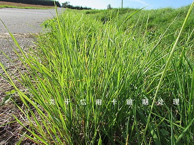 关于信用卡逾期处理 关于信用卡逾期处理