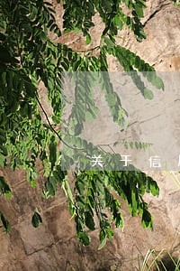 关于信用卡逾期投诉银行