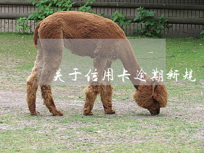 关于信用卡逾期新规 关于信用卡逾期新规