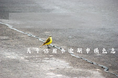 关于信用卡逾期申请免息的描述