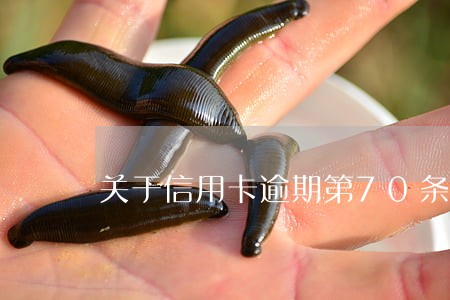 关于信用卡逾期第70条规定
