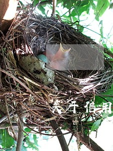 关于信用卡逾期还款的问答 关于信用卡逾期还款的问答