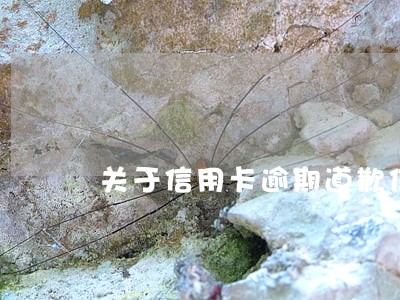 关于信用卡逾期道歉信 关于信用卡逾期道歉信
