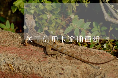 关于信用卡逾期重组 关于信用卡逾期重组
