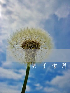 关于信用贷逾期客户说明 关于信用贷逾期客户说明