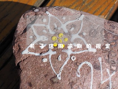 关于信用逾期的规定