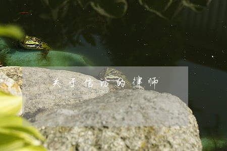 关于信访的律师 关于信访的律师
