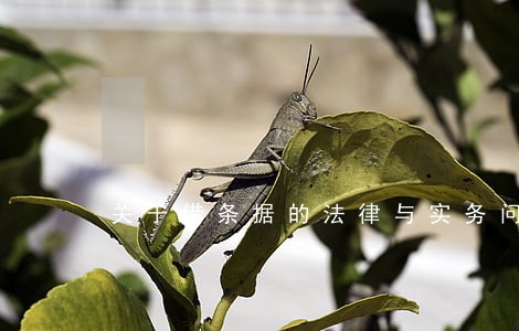 关于借条据的法律与实务问题下载 关于借条据的法律与实务问题下载