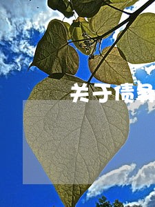 关于债务律师咨询问题 关于债务律师咨询问题