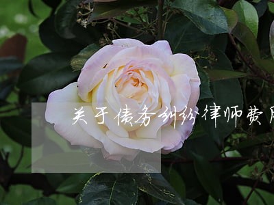关于债务纠纷律师费用咨询 关于债务纠纷律师费用咨询