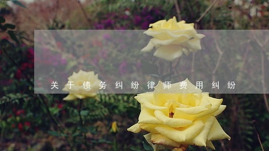 关于债务纠纷律师费用纠纷 关于债务纠纷律师费用纠纷