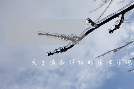 关于债务纠纷的法律法规 关于债务纠纷的法律法规