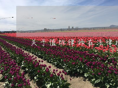关于值班律师在法律援助 关于值班律师在法律援助