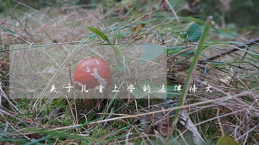 关于儿童上学的法律条文 关于儿童上学的法律条文