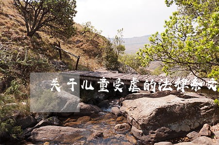 关于儿童受虐的法律条文 关于儿童受虐的法律条文