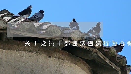 关于党员干部违法违法行为心得体会 关于党员干部违法违法行为心得体会