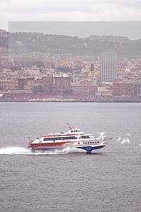 关于公益诉讼情况汇报 关于公益诉讼情况汇报