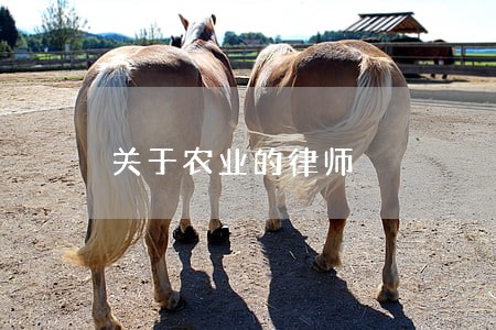 关于农业的律师 关于农业的律师