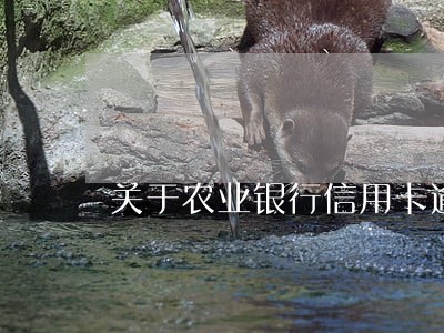 关于农业银行信用卡逾期 关于农业银行信用卡逾期